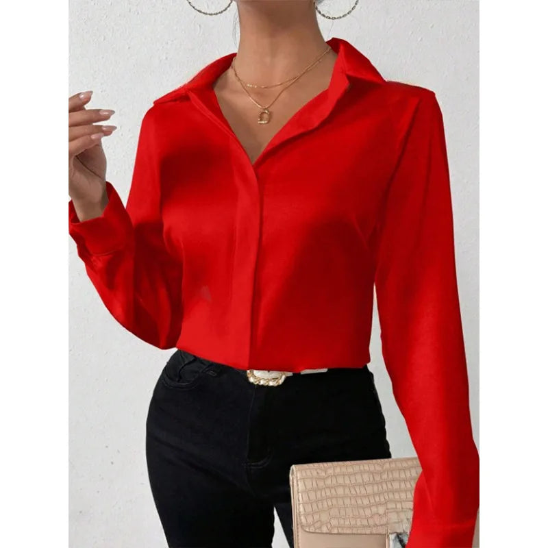 Women's Long Sleeve Ladies Blouse